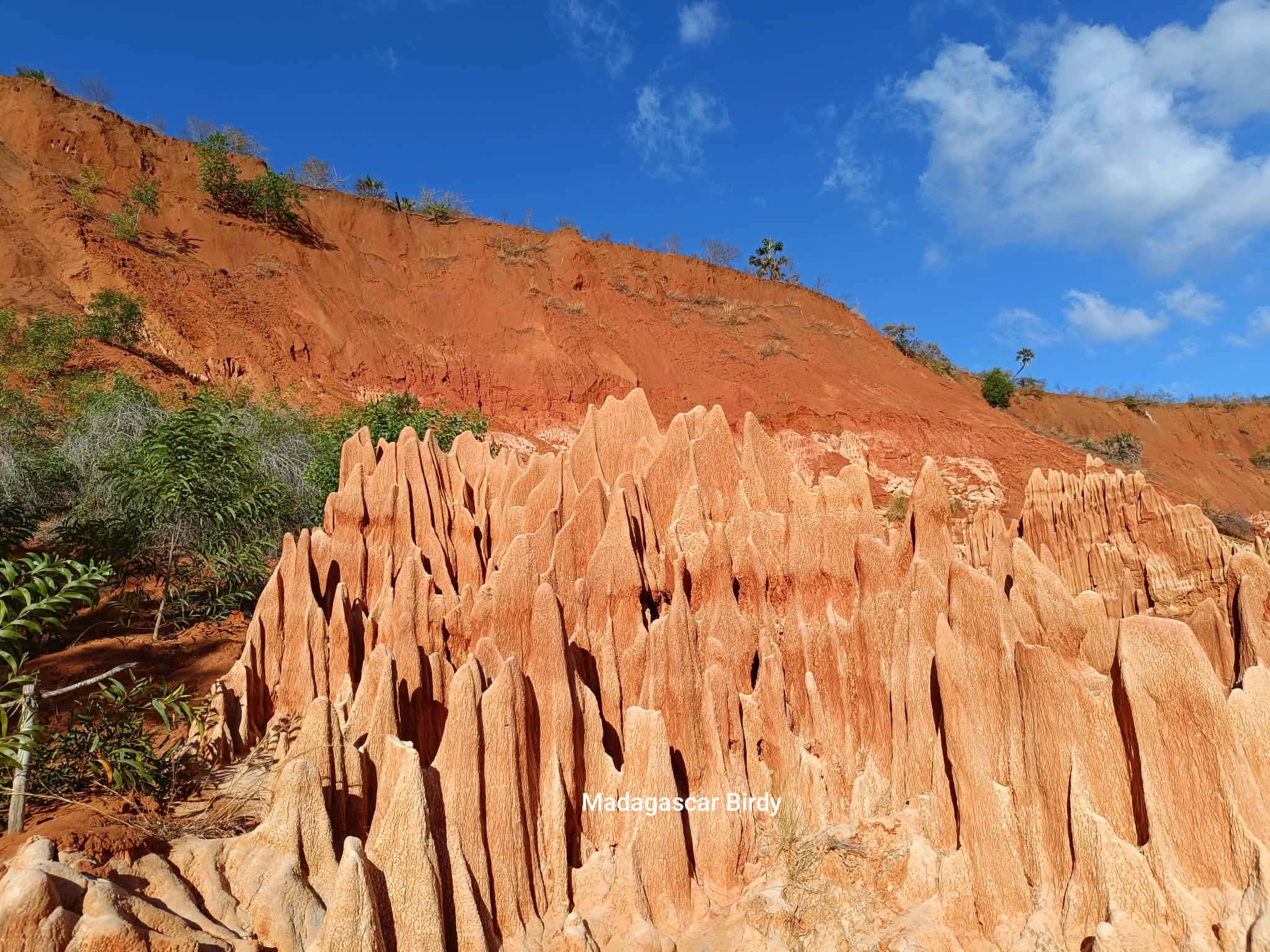 Red Tsingy - limestone formations Madagascar
